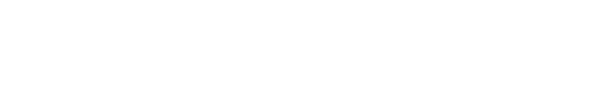 Lewes District Council